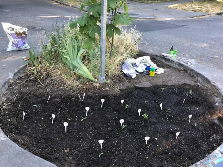 roundabout gardening